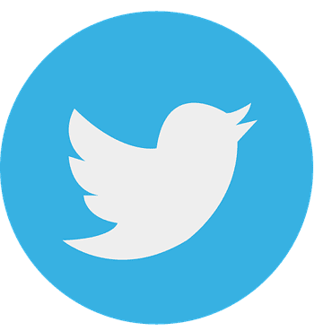 logo twitter - réseaux sociaux