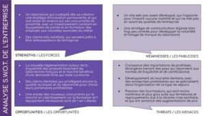 Exemple Portfolio analyse SWOT