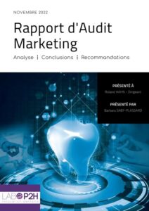 Rapport d'audit marketing