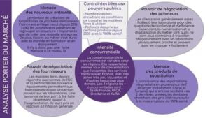 Exemple Portfolio Analyse Porter d'un environnement