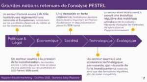 Exemple portfolio Analyse Pestel